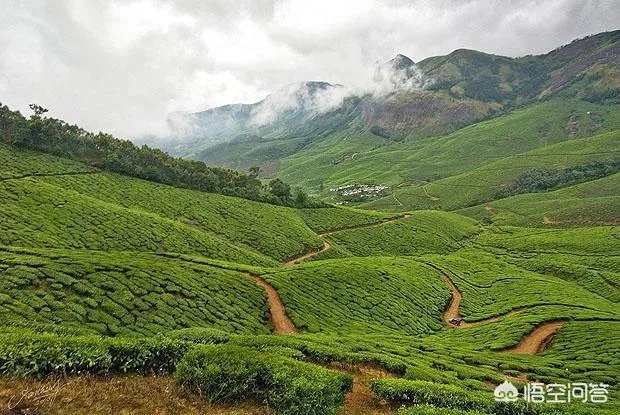 如何拍出锐利照片？