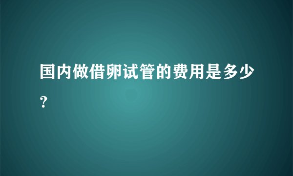 国内做借卵试管的费用是多少？