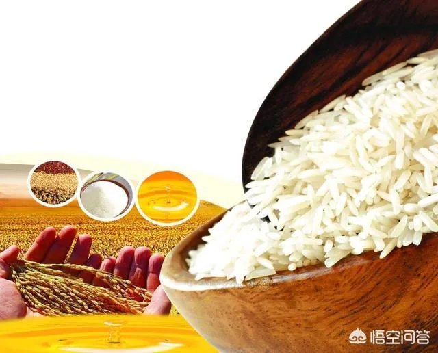 你们认为粮食价格管控会放开吗？为什么？