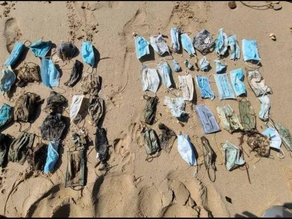 15亿只废弃口罩流入海洋，这对海洋生物造成了多大的危害？