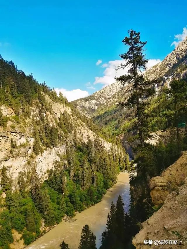 什么车最适合自驾游，为什么？