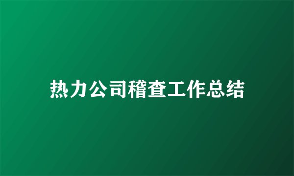 热力公司稽查工作总结