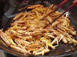 蚂蚱腿怎么炸的