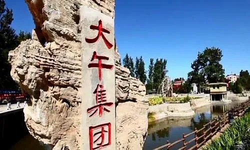 国内知名农民企业家孙大午被抓，事情的原委是什么？