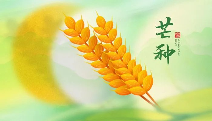 2023芒种是什么时候 2023年芒种是哪天
