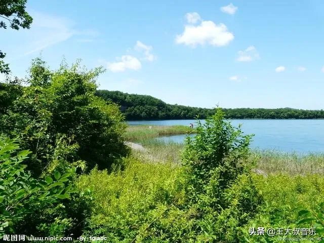 有什么好的歌曲适合在公司年会大合唱的？求推荐？