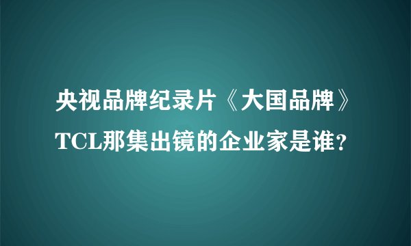 央视品牌纪录片《大国品牌》TCL那集出镜的企业家是谁？