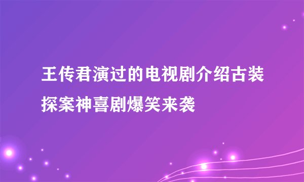 王传君演过的电视剧介绍古装探案神喜剧爆笑来袭