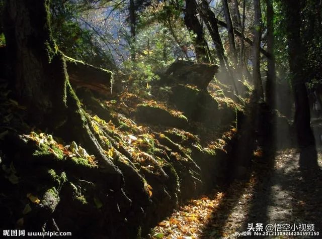 如何评价《盗墓笔记》的先导集？