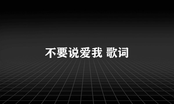 不要说爱我 歌词