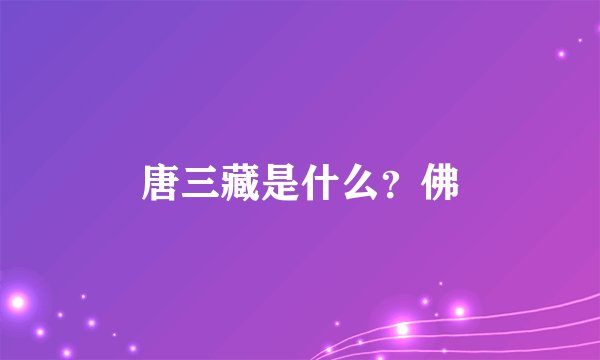唐三藏是什么？佛