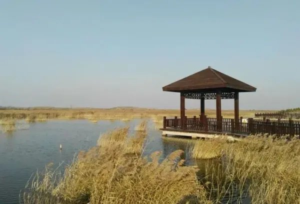 沧州附近旅游景点大全排名