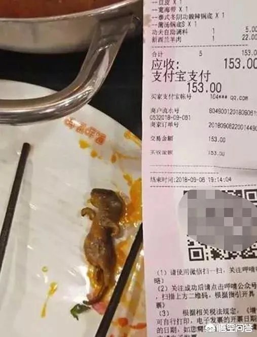 孕妇吃火锅捞出老鼠，店家疑称“给2万把孩子打了”，对此你怎么看？