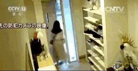 危秋洁老师的最后几天都遇到了什么事？