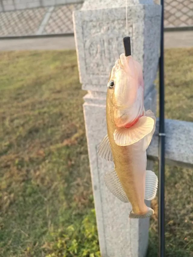 海宁尖山的水库还能钓鱼吗