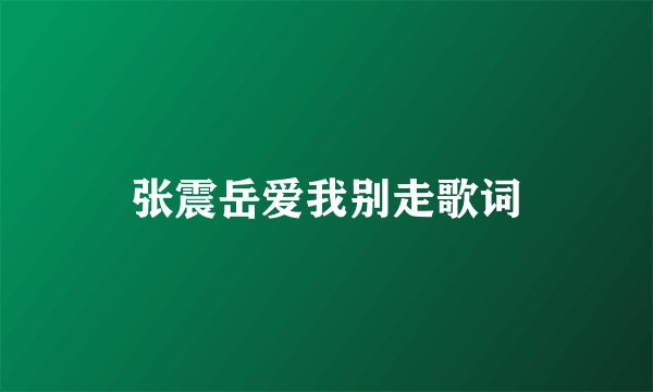 张震岳爱我别走歌词