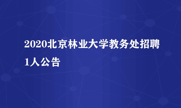 2020北京林业大学教务处招聘1人公告