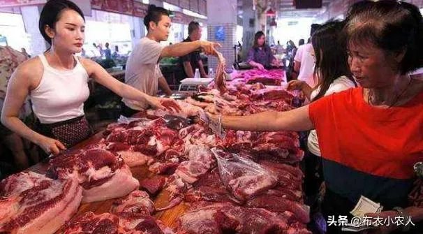 猪价全面暴跌！猪肉降入20元时代，10元猪肉还远吗？