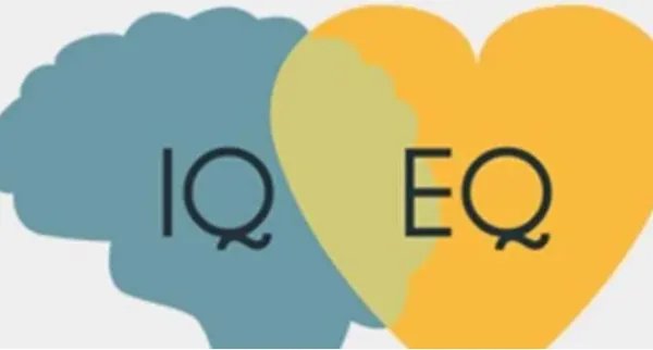 男孩买了一束花,女孩买了两瓶水。我希望你永远不懂这句话。是啥意思？