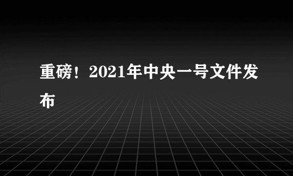 重磅！2021年中央一号文件发布