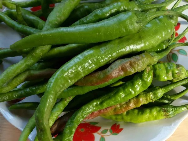 驴肉饺子馅配什么菜最好