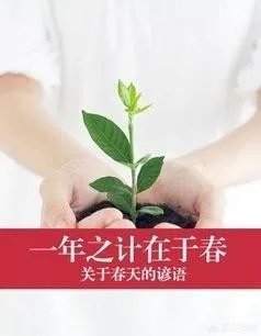 关于农业生产的俗语有哪些？