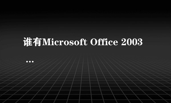 谁有Microsoft Office 2003  professional安装序列号?谢谢!