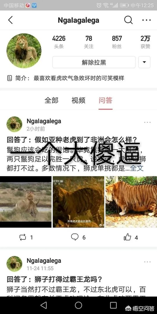 鬣狗狮子