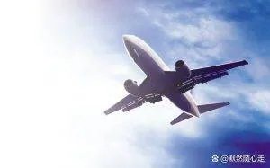 印度载有200人客机突发故障、17人重伤，导致故障的原因有哪些？