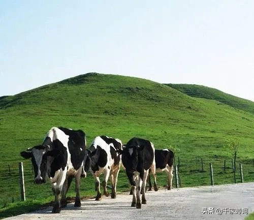 请问我长的好看但找不到男朋友是怎么回事？