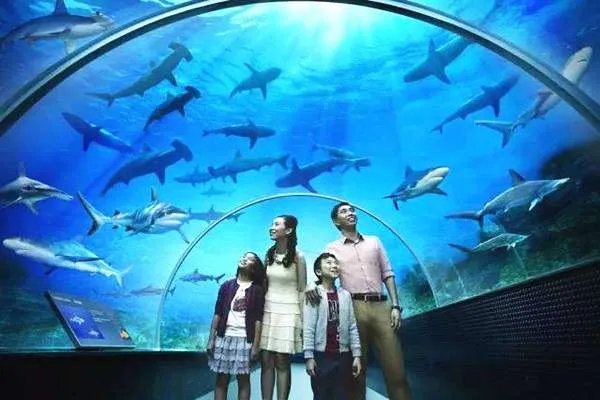 郑州两个海洋馆哪个好