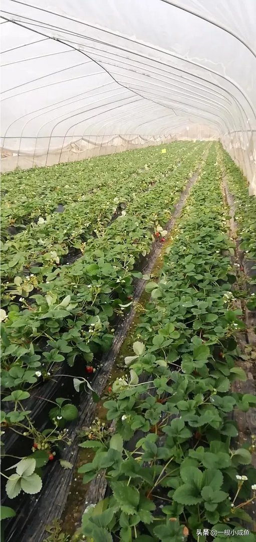 封村什么时候解封