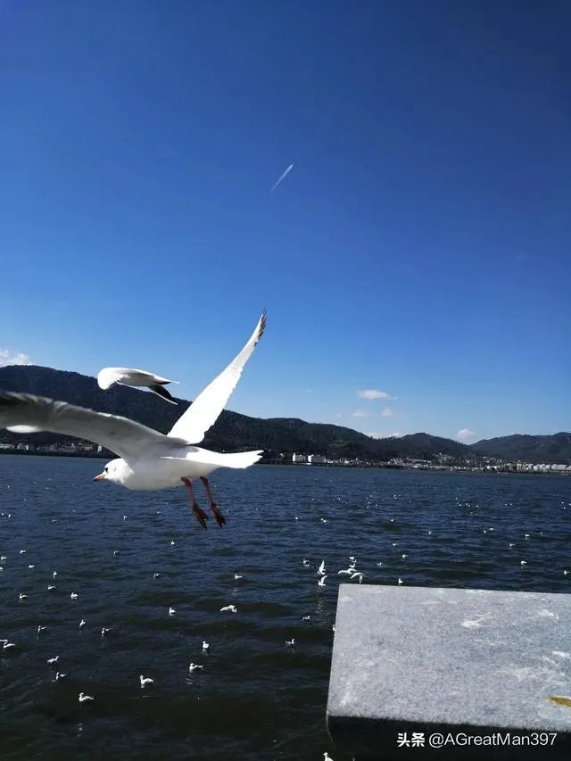 昆明房价5年涨8成，哪个片区发展得更好？