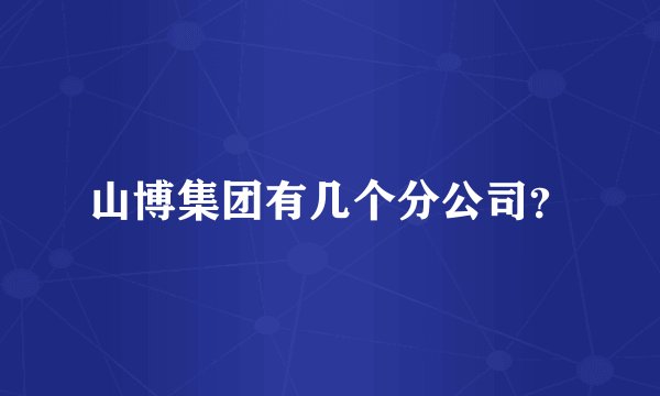 山博集团有几个分公司？