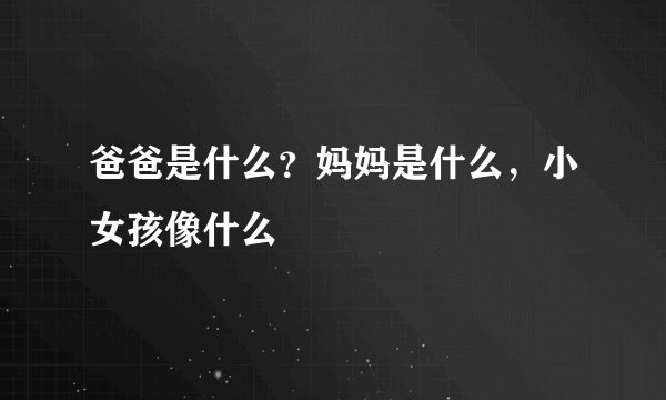 爸爸是什么？妈妈是什么，小女孩像什么