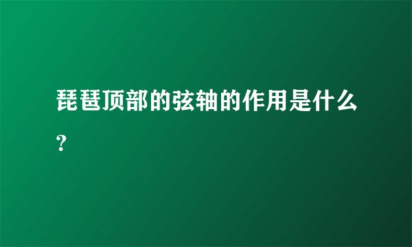 琵琶顶部的弦轴的作用是什么？