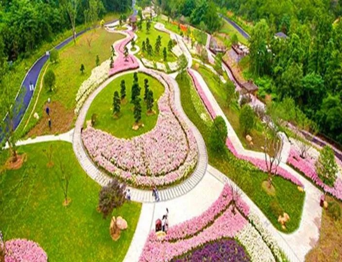 漳浦花博园地址