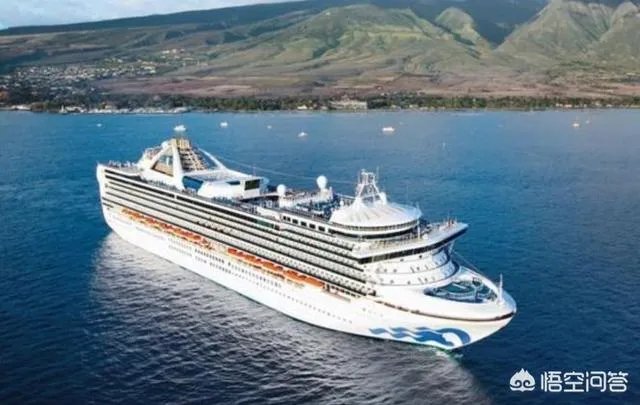 如果西方国家最后都放弃检测向病毒屈服了，我们怎么办？