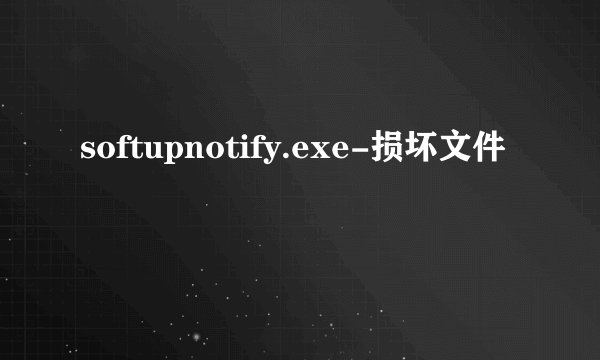 softupnotify.exe-损坏文件