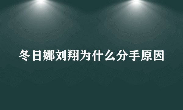 冬日娜刘翔为什么分手原因