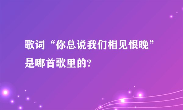 歌词“你总说我们相见恨晚”是哪首歌里的?