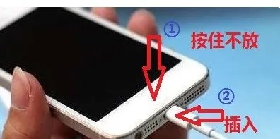 苹果7plus屏幕上显示已停用链接iTunes怎么处理啊?