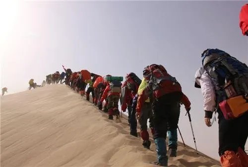 沙漠里遍地都是西瓜，为什么没人敢吃？它是什么东西？