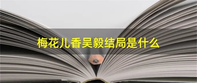 梅花儿香吴毅结局是什么