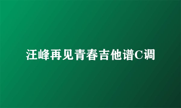 汪峰再见青春吉他谱C调