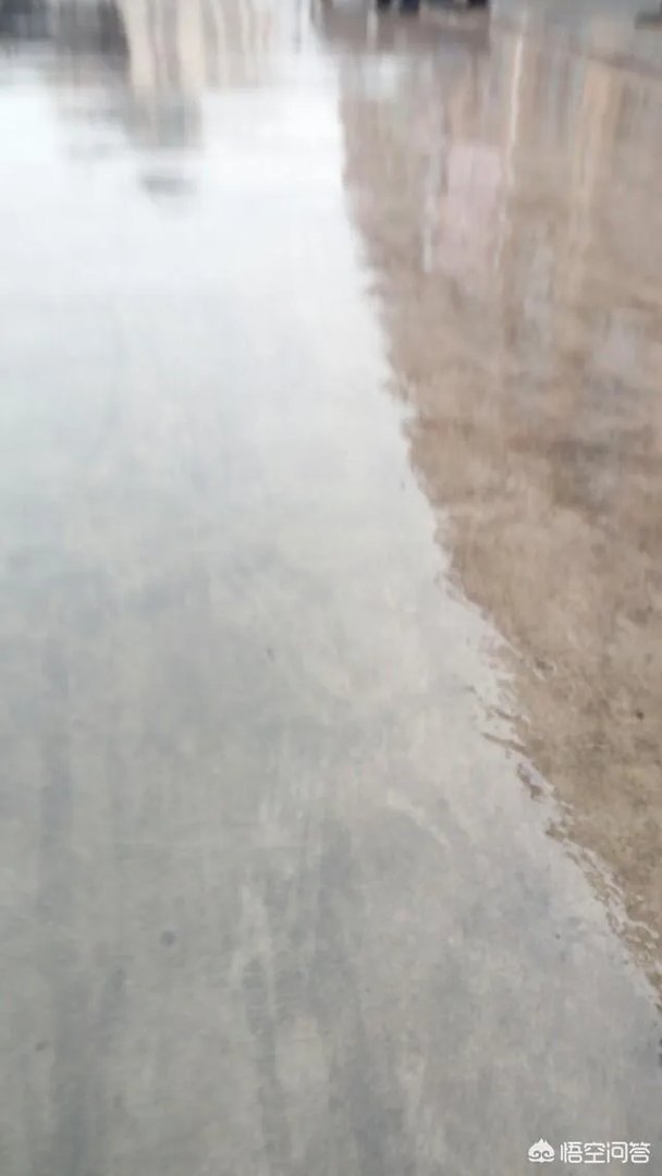 在婆家地位是自己争取的还是别人给的？