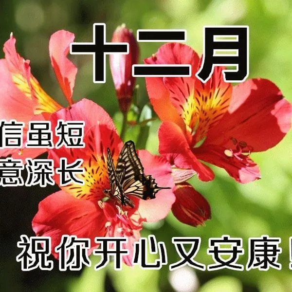 12、月早安祝福图片？