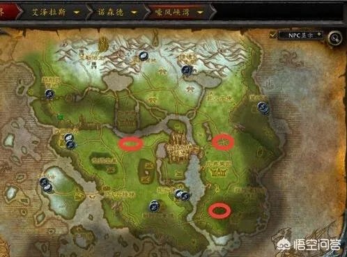 魔兽世界中如何获得瓦格里宠物？