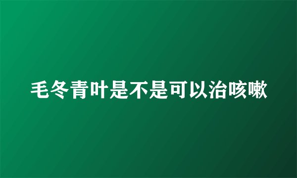 毛冬青叶是不是可以治咳嗽