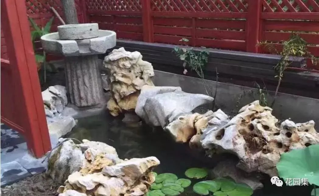 纯天然庭院鱼池打造攻略，生态、省心又实惠！赶紧收藏